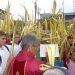 Con el domingo de Ramos se inició la Semana Santa en Betijqoue