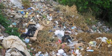 Desde diciembre no les recogen la basura en Sara Linda