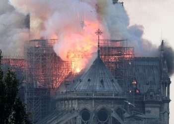 El Vaticano recibe con “tristeza” el “terrible” incendio de Notre Dame