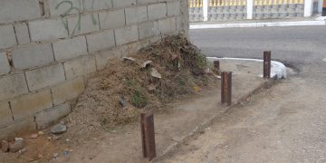 Crecen los montones de basura en hogares y calles de Betijoque