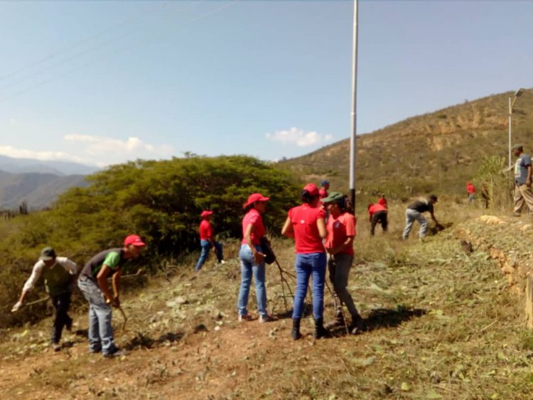 Alcaldía de Carache realiza pica y poda en subestación eléctrica