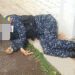 Muere oficial de PNB durante enfrentamiento Con dos detectives del Cicpc en via a El Valle