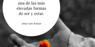 Gratitud: sentimiento de acción y efecto que ennoblece