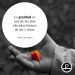 Gratitud: sentimiento de acción y efecto que ennoblece