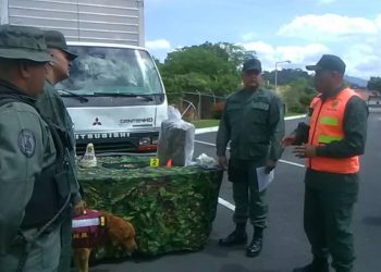 Incautan 39 panelas de marihuana en El Gallo