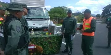 Incautan 39 panelas de marihuana en El Gallo