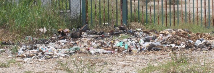 No hay voluntad del gobierno para solucionar problemas de la basura y escasez de agua