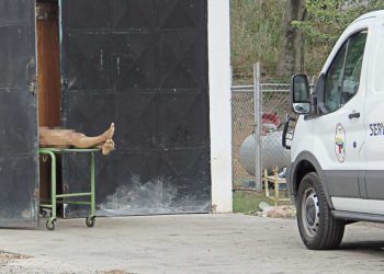 En Bolívar asesinaron a hombre con arma de fuego