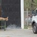 En Bolívar asesinaron a hombre con arma de fuego