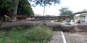 Comenzó a prestar servicio al público el Banco Occidental de Descuento