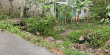 Problemas de Miticún parte baja se perpetuaron