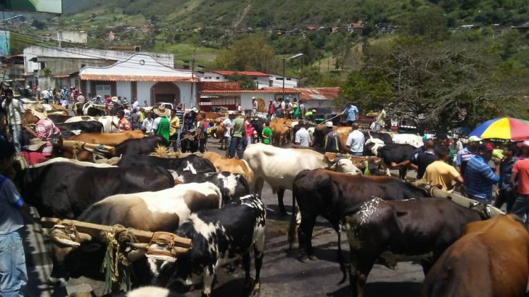 La Puerta celebró a San Isidro Labrador