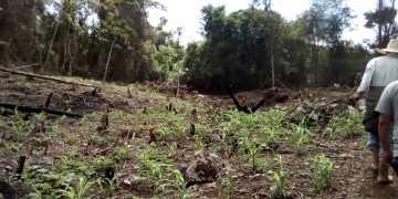 No hay ecocidio en la naciente del Alto de Escuque en Trujillo