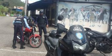 Funcionarios de la policía estadal localizan  cultivo de marihuana en finca de Capacho