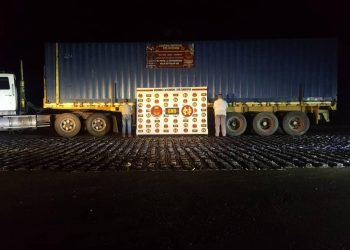 Detectada en Vega de Aza  gandola que iba a Valencia transportando 1336 panelas de marihuana