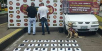 Detienen en el peaje Vega de Aza a dos hombres que llevaban marihuana oculta en un automóvil