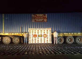 Privan de libertad a dos hombres por tráfico  de 713 kilos de marihuana en una gandola