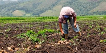 Agricultores parados por el combustible