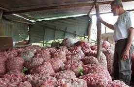 “Sin gasolina, estamos perdiendo la producción que cosechamos con tanto sacrificio”