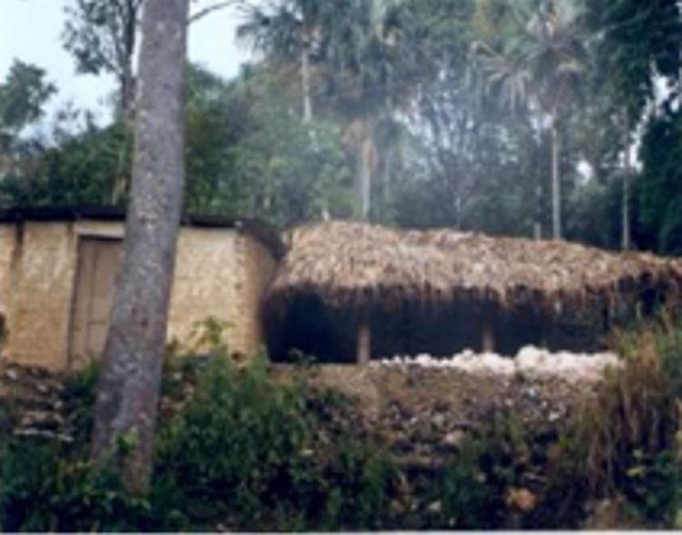 La Cabaña de casas de palma y paredes de bahareque de las haciendas, se ve entre el bosque de la colina con vista a la Valera empedrada.
