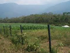 Grupos ecológicos denuncian campaña contra legislador Jesús Abreu