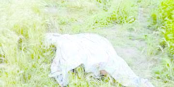 Localizan cadáver en estado de descomposición en Sucre