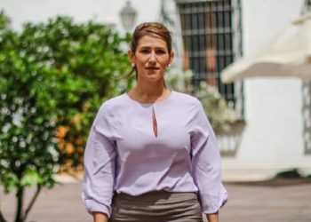 Embajadora de Venezuela en Chile:  “Nuestra situación no es de turistas”
