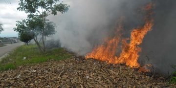 Se agudiza problema de la basura en Rafael Rangel