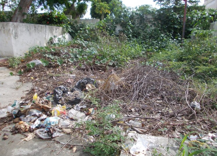  El parquecito los estudiantes de Betijoque un depósito de basura.