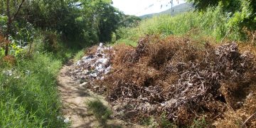 En Isnotú el basural mayor está en la antigua vía a San Pedro
