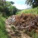 En Isnotú el basural mayor está en la antigua vía a San Pedro