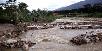 Bases de piedra y palos partidos  fue lo que quedó en las trochas