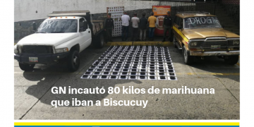 GN incautó 80 kilos de marihuana que iban a Biscucuy 