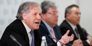 OEA: debemos evitar trampas de las dictaduras