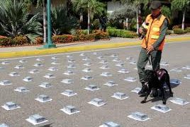 Condenado a 12 años de prisión un hombre  por trasportar más de 340 kilos de cocaína