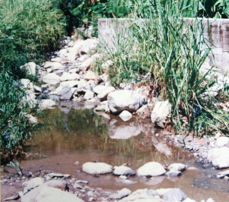 Zanjón del Tigre: vertiente donde se hallan recuerdos de lo rural y urbano