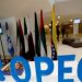 Opep y aliados dispuestos a mantener recorte de oferta de crudo en 2019