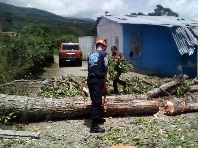 Familias boconesas se quedan sin techos y sin luz