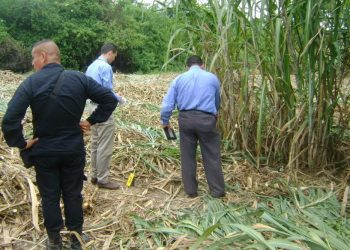 Linchados tres ladrones en Burbusay sorprendidos robando en una finca