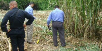 Linchados tres ladrones en Burbusay sorprendidos robando en una finca
