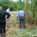 Linchados tres ladrones en Burbusay sorprendidos robando en una finca