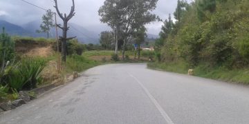 Tres lesionados en accidente de tránsito en Boconó 