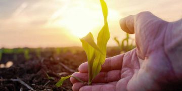 La naturaleza ya no tendrá capacidad para cuidarnos dentro de tan solo 30 años