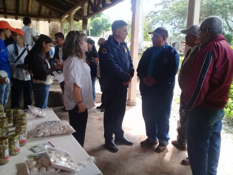 Globovisión resalta manifestaciones culturales de Boconó en transmisión especial