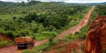 Carreteras llevan desarrollo y  destrucción a la Amazonia brasileña