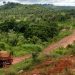 Carreteras llevan desarrollo y  destrucción a la Amazonia brasileña