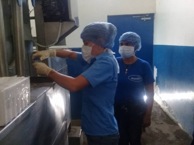 Más de 800 establecimientos han sido inspeccionados por el SACS en Táchira