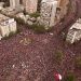 Un millón de personas se concentraron en Santiago contra Piñera
