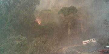Incendios forestales: un cáncer para Trujillo