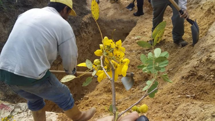 Minec Trujillo retiró químicos del liceo Antonio Sánchez Pacheco en Pampanito